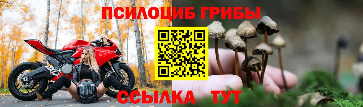 Галлюциногенные грибы мухоморы  Галлюциногенные грибы Psilocybine cubensis  Таганрог  Вход с VPN 