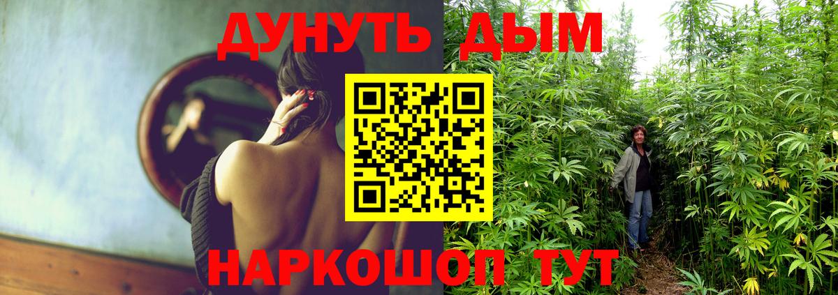 Шишки марихуана SATIVA & INDICA  Марихуана сатива  Таганрог  Вход с VPN  Марихуана сатива 